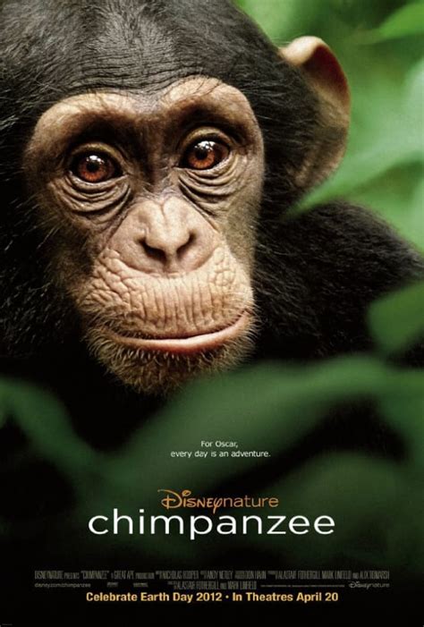 Chimpanzee Movie
